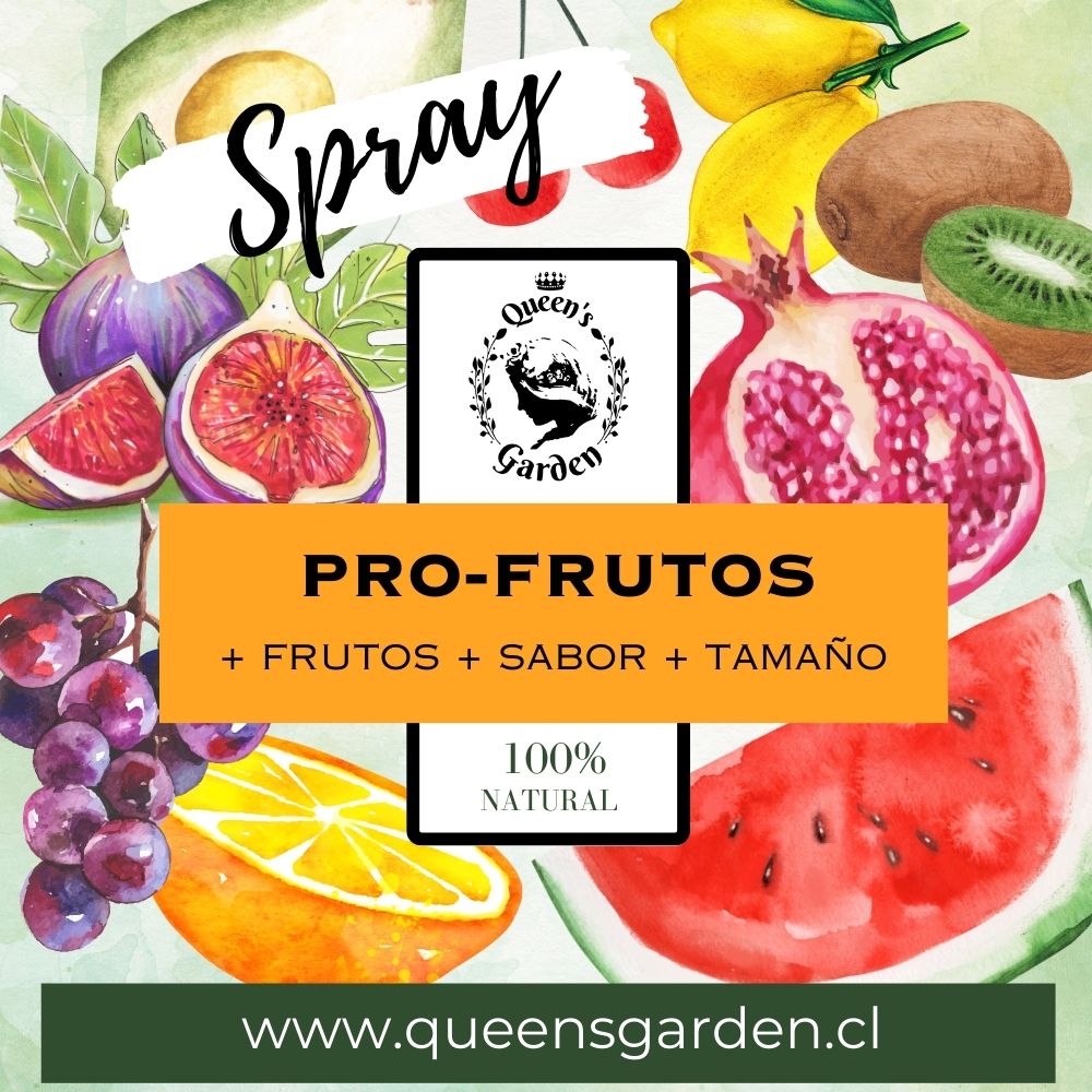 PRO-FRUTOS SPRAY - Imagen 2