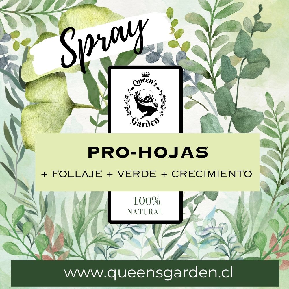 PRO-HOJAS SPRAY - Imagen 2