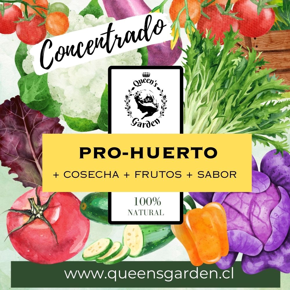 PRO-HUERTO CONCENTRADO - Imagen 3