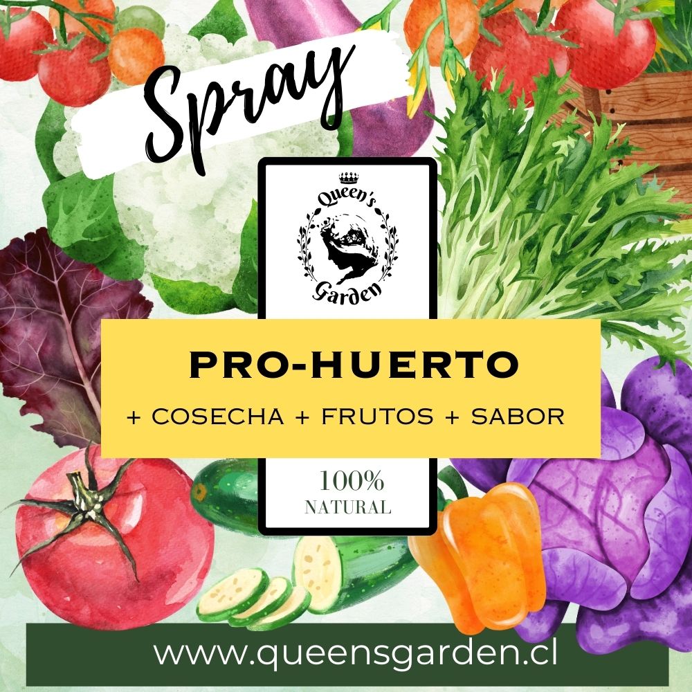 PRO-HUERTO SPRAY - Imagen 2