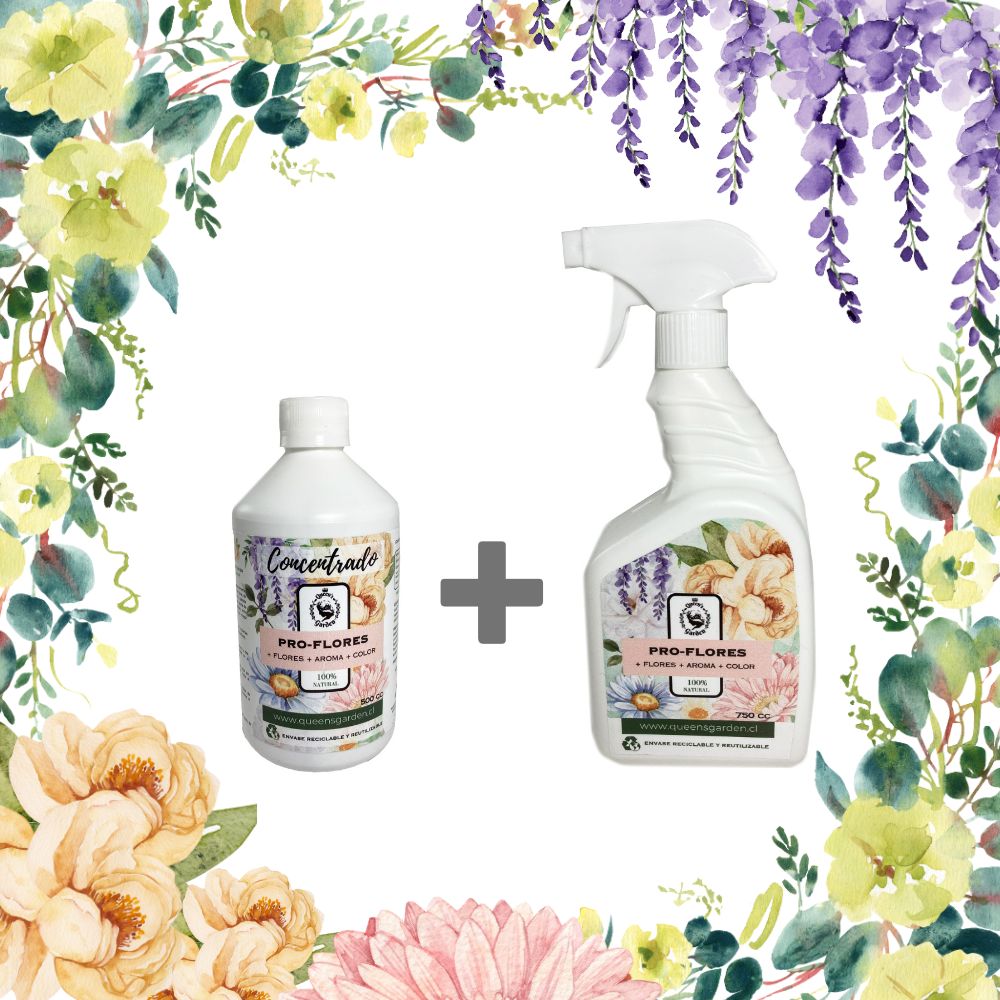 PACK PRO-FLORES 2x1