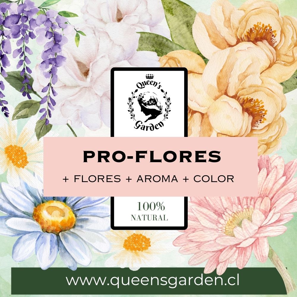 pro flores
