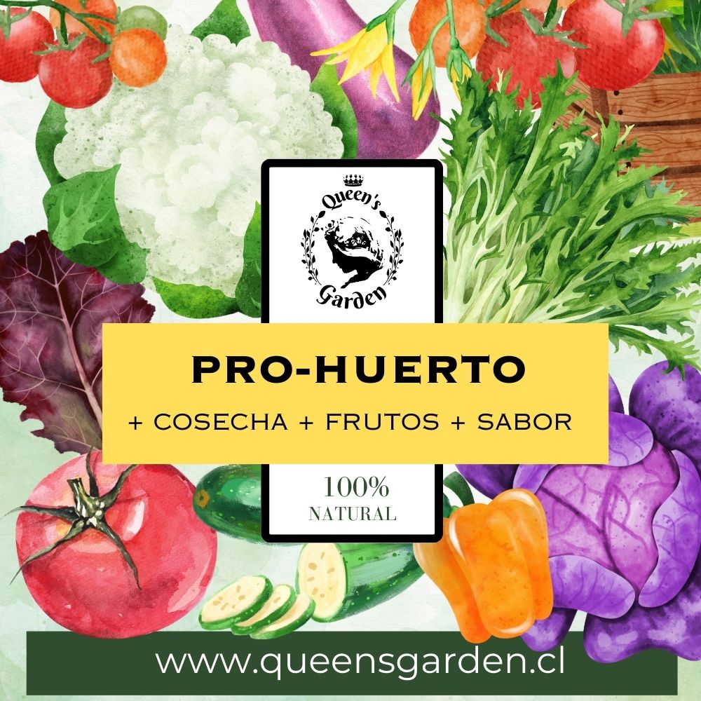 pro huerto
