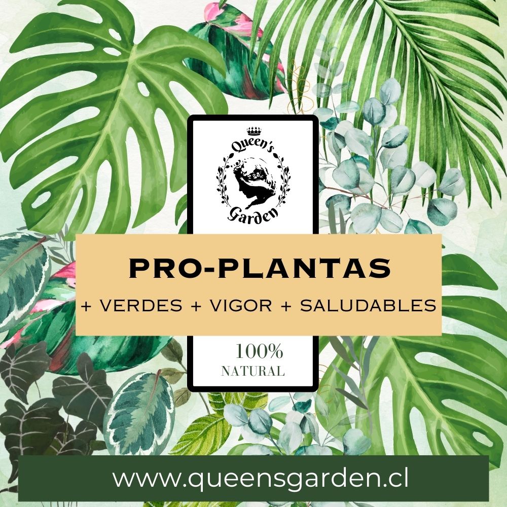 pro plantas